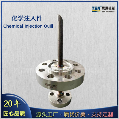化学注入件 Chemical Injection Quill