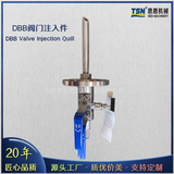 DBB閥門注入件